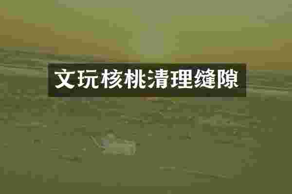 文玩核桃清理缝隙