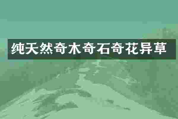 纯天然奇木奇石奇花异草