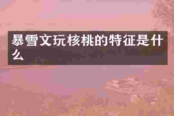 暴雪文玩核桃的特征是什么