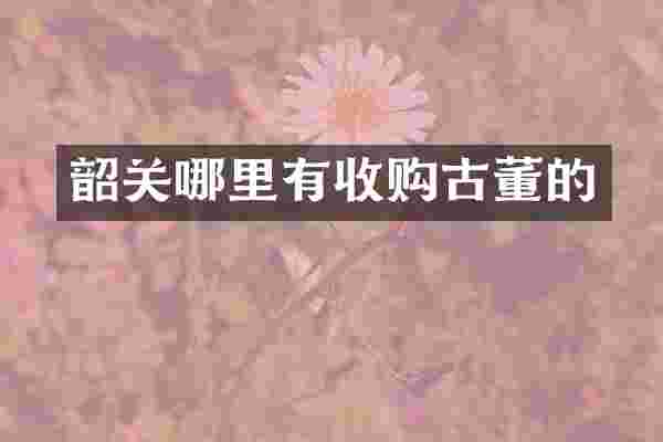 韶关哪里有收购古董的