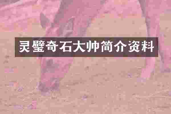 灵璧奇石大帅简介资料