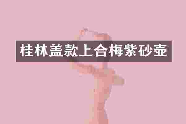 桂林盖款上合梅紫砂壶