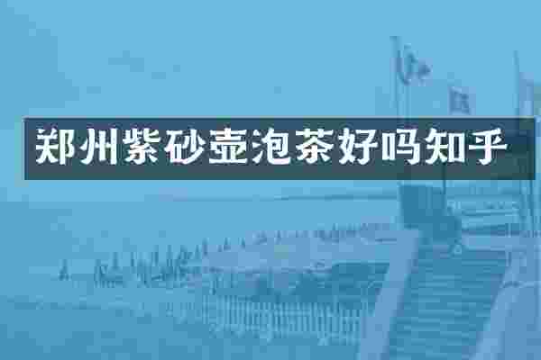 郑州紫砂壶泡茶好吗知乎