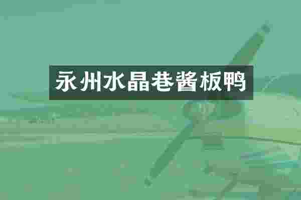永州水晶巷酱板鸭