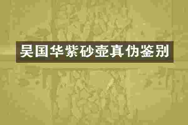 吴国华紫砂壶真伪鉴别