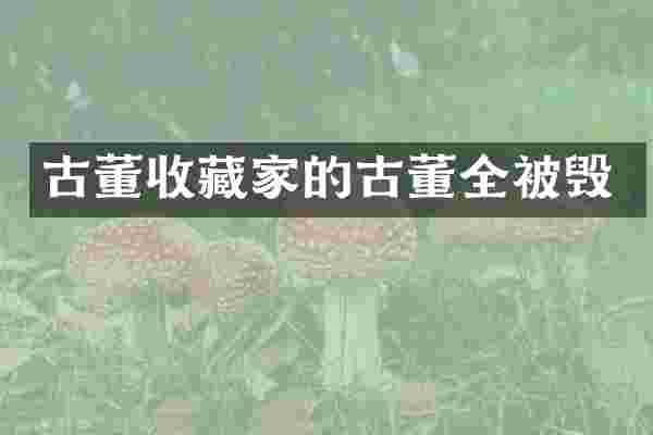 古董收藏家的古董全被毁