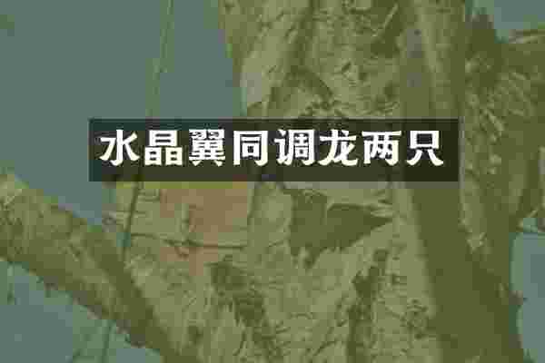 水晶翼同调龙两只