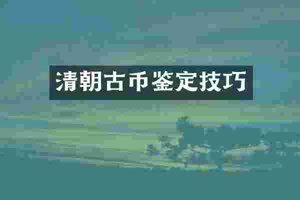 清朝古币鉴定技巧