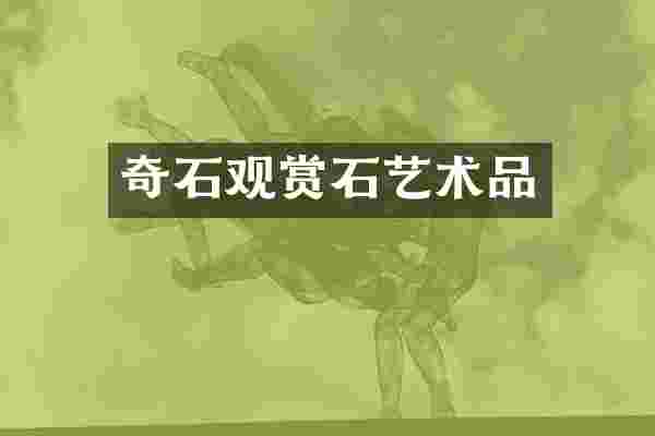 奇石观赏石艺术品