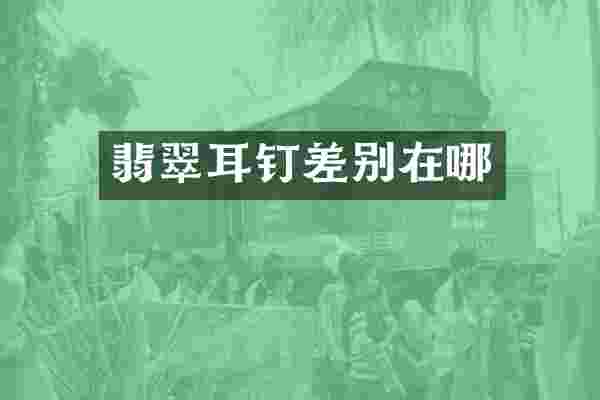 翡翠耳钉差别在哪
