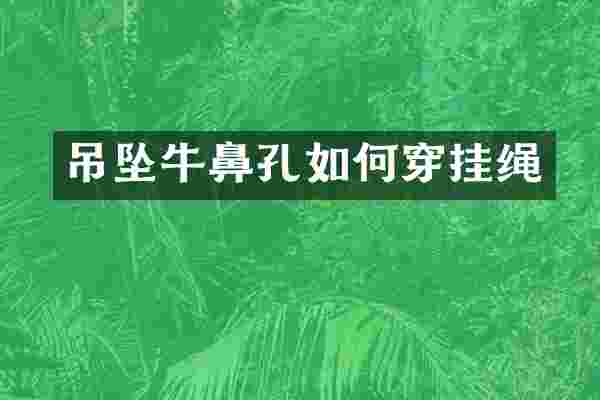 吊坠牛鼻孔如何穿挂绳