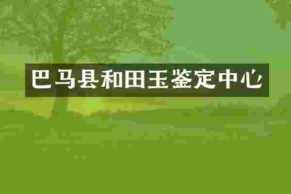 巴马县和田玉鉴定中心