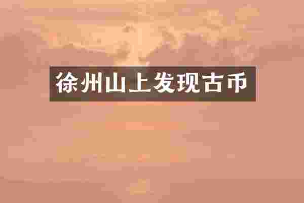 徐州山上发现古币