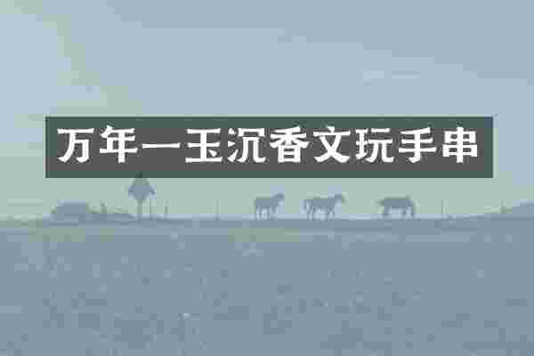 万年一玉沉香文玩手串