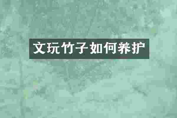 文玩竹子如何养护