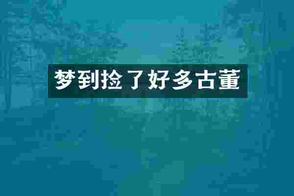 梦到捡了好多古董