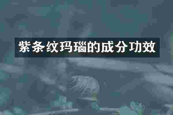 紫条纹玛瑙的成分功效