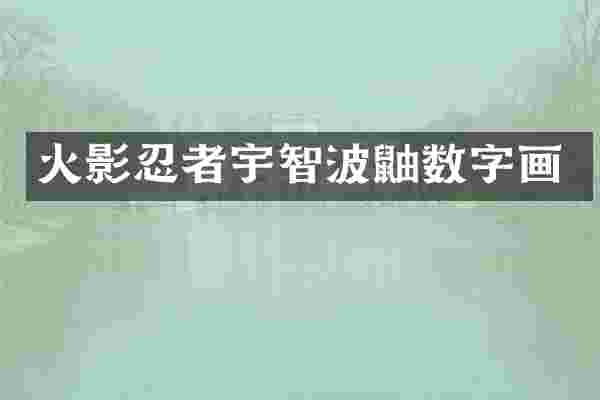 火影忍者宇智波鼬数字画