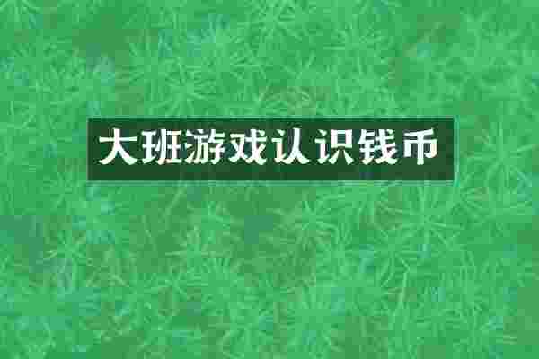 大班游戏认识钱币