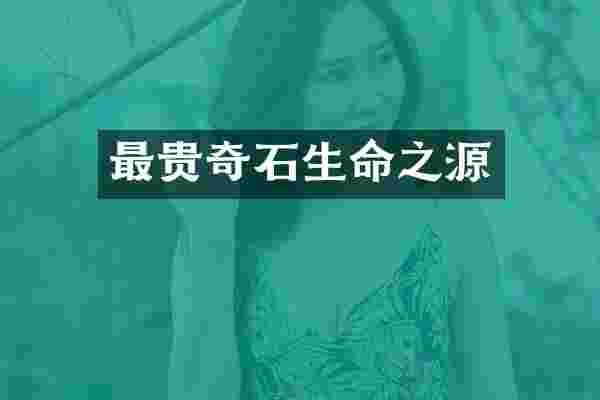 最贵奇石生命之源