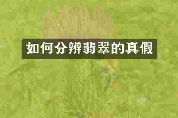 如何分辨翡翠的真假