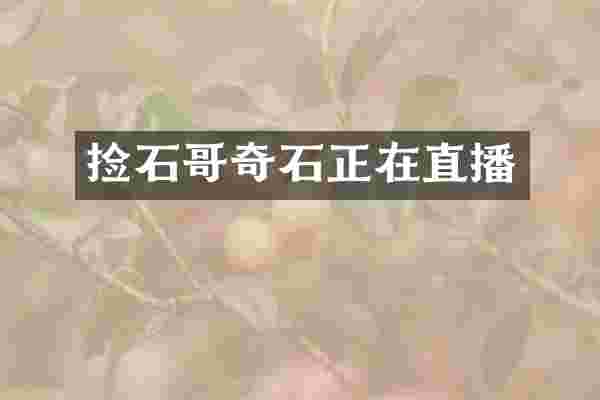 捡石哥奇石正在直播