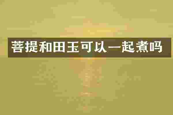 菩提和田玉可以一起煮吗