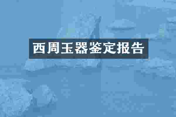 西周玉器鉴定报告