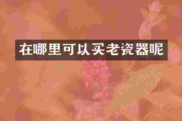 在哪里可以买老瓷器呢