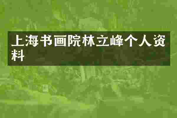 上海书画院林立峰个人资料