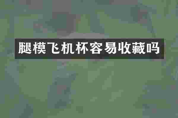 腿模飞机杯容易收藏吗