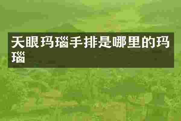 天眼玛瑙手排是哪里的玛瑙