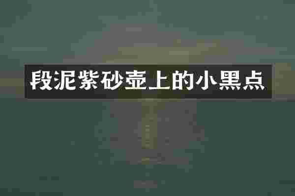 段泥紫砂壶上的小黑点