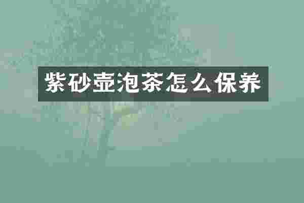 紫砂壶泡茶怎么保养