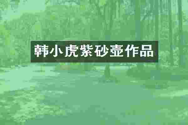 韩小虎紫砂壶作品