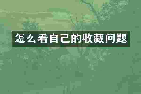 怎么看自己的收藏问题
