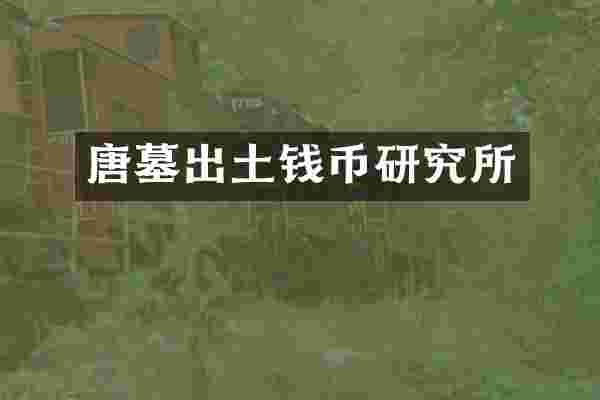 唐墓出土钱币研究所