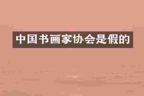 中国书画家协会是假的