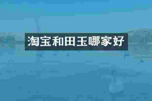 淘宝和田玉哪家好