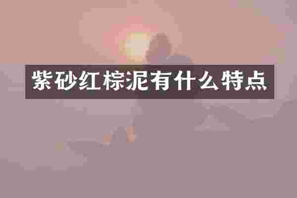 紫砂红棕泥有什么特点