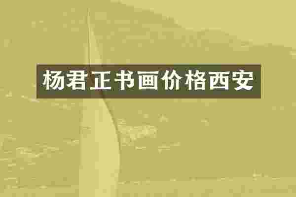杨君正书画价格西安
