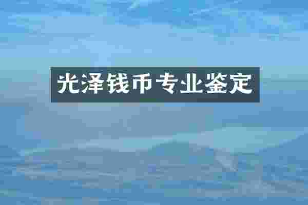 光泽钱币专业鉴定