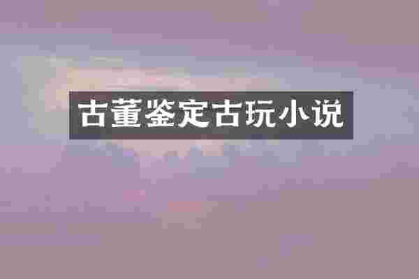 古董鉴定古玩小说