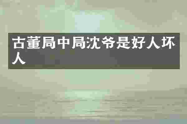 古董局中局沈爷是好人坏人