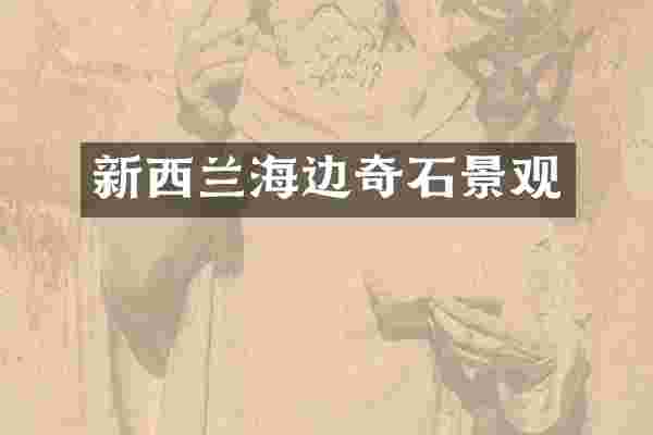 新西兰海边奇石景观
