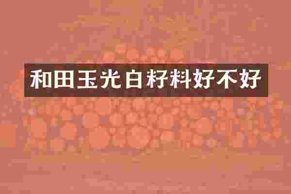 和田玉光白籽料好不好