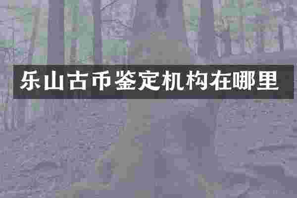 乐山古币鉴定机构在哪里