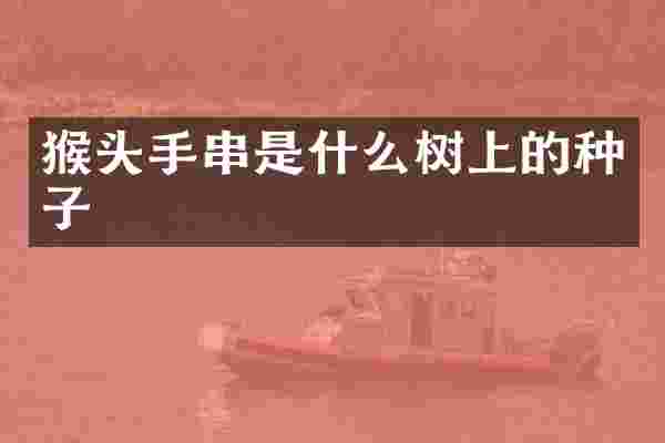 猴头手串是什么树上的种子