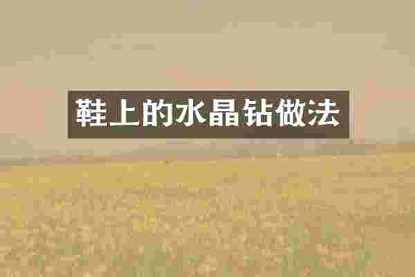 鞋上的水晶钻做法
