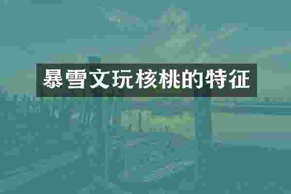 暴雪文玩核桃的特征